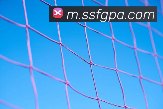 pa视讯服务体系