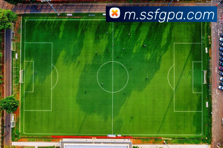 多媒体互动体验