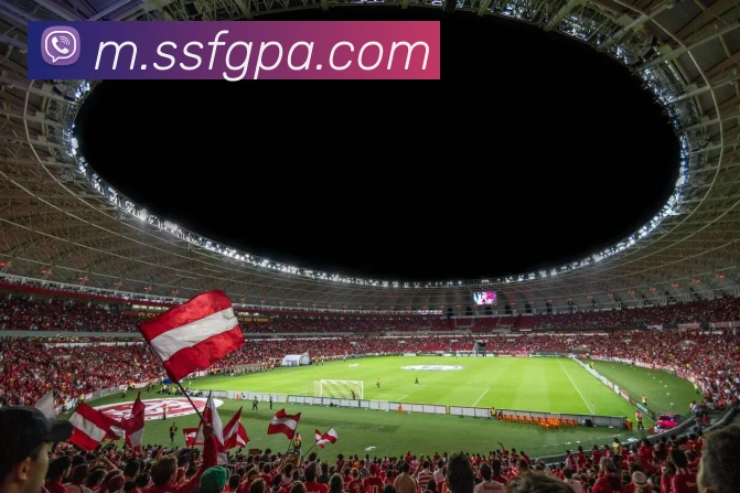 奖项证书